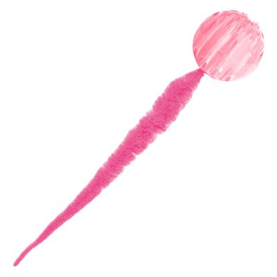 Interactive Ball Toy for Cats