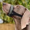 Greabuy Nylon Muzzle view 4