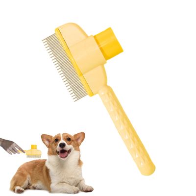 Huxibai Cat Brush for Shedding