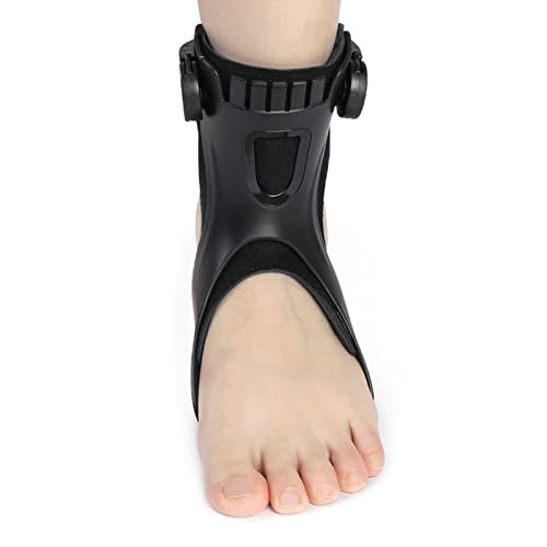 Ankle-Foot Orthosis and Foot-Lift Brace, Right, Size L