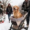 Mppchhn Dog Stroller Cushion, Plush Warm Washable Mat view 2