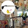 Suction Cup Bird Perch, 2-Piece Wooden Stand with Attachment Toy view 2