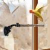 Suction Cup Bird Perch, 2-Piece Wooden Stand with Attachment Toy view 3