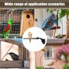 Suction Cup Bird Perch, 2-Piece Wooden Stand with Attachment Toy view 4