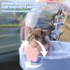 Hamster Transport Box - Small Animal Carrier view 4