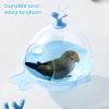 Generic Budgie Bird Bath | Multifunctional Hanging Interactive Bath view 3