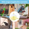 Large Hanging Interactive Budgie Bird Bath view 4