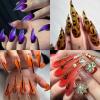 Assorted Crack-Resistant Gel Nail Extension Forms view 4