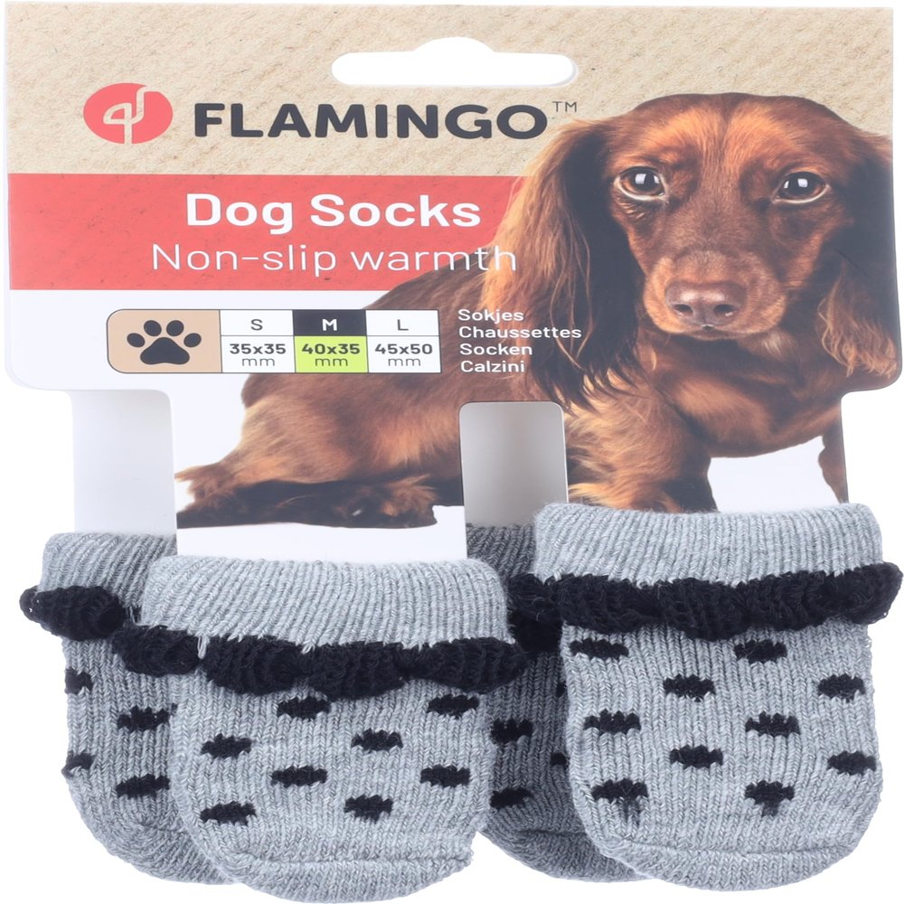 Sock Asia 4 Pack Gray M