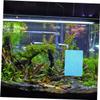 Blue Plastic Spawning Plate with Suction Cup for Aquariums view 4