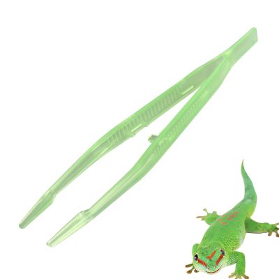 Reptile Feeding Tweezers