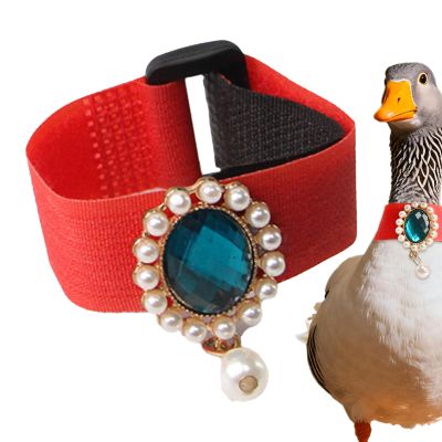 Anti-Singing Collar for Chickens