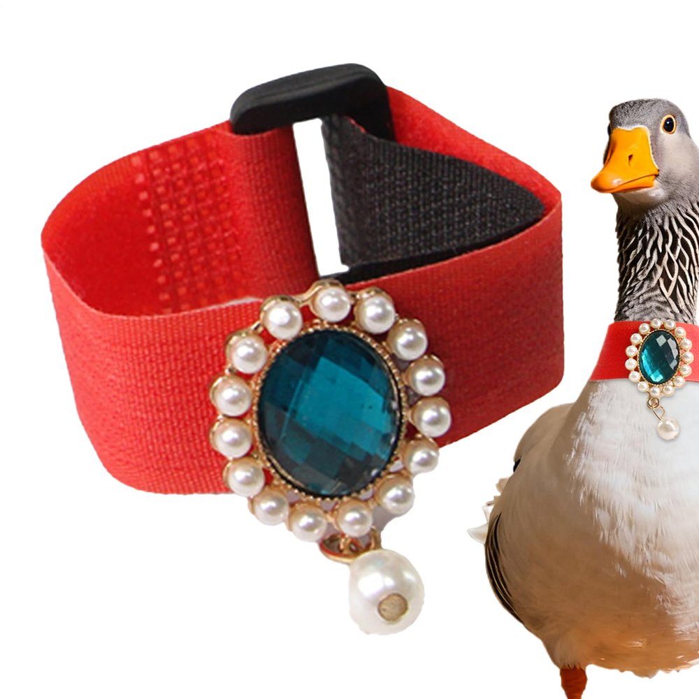 Anti-Singing Collar for Chickens