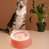 Leakproof Slow-Feed Water Bowl for Dogs view 2