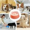 Leakproof Slow-Feed Water Bowl for Dogs view 4