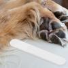 SEWOART Pet Nail File for Dogs and Cats view 4