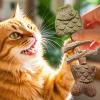 Cat Dental Cleaning Toy - Fishbone Chew Stick view 3