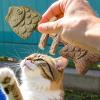 Cat Dental Cleaning Toy - Fishbone Chew Stick view 4