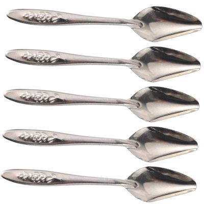 Levemo Metal Feeding Spoon Drip-Free 5 Pack Stainless Steel Small Lightweight for Parrots and Budgerigars