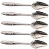 Levemo Metal Feeding Spoon Drip-Free 5 Pack Stainless Steel Small Lightweight for Parrots and Budgerigars view 1