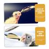 Levemo Metal Feeding Spoon Drip-Free 5 Pack Stainless Steel Small Lightweight for Parrots and Budgerigars view 3