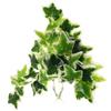 Parliky Artificial Hanging Plant for Terrariums and Aquariums view 1