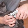 Cat Nail Clipper with LED Light, Stainless Steel view 2