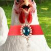 Rooster Collar - Adjustable No Crow Neck Strap view 3