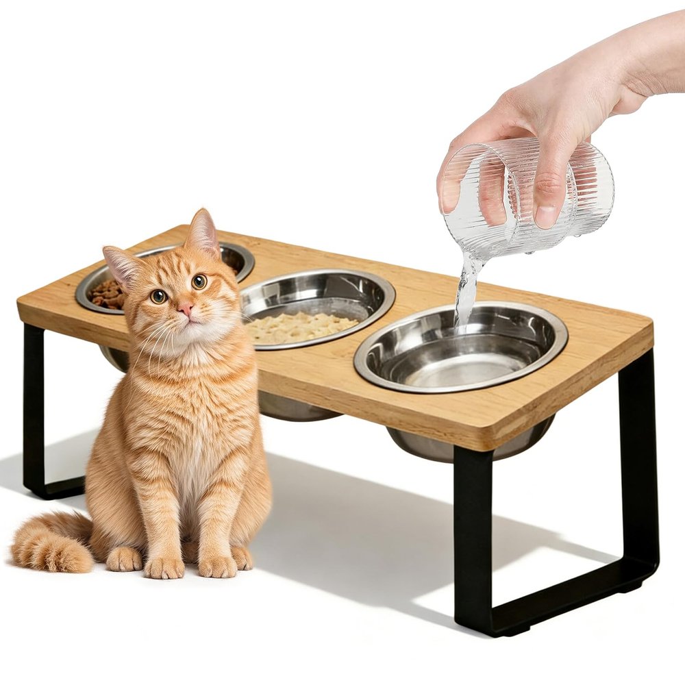 Elevated Cat Bowls, Raised Feeding Station, 3-Piece Ceramic Cat Bowl Set, 15° Tilted Stainless Steel Bowl Set for Cats and Dogs