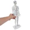 VICASKY Male Plastic Acupuncture Training Model with Meridian Display, White view 4