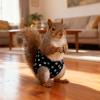 Husoiuy Rabbit Diapers view 3