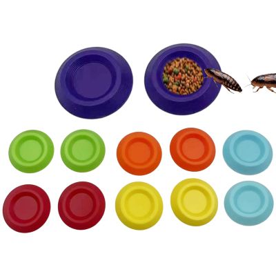 Generic Reptile Feeding Bowl - 12-Piece Set for Cockroach Accessories
