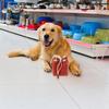JOINPAYA Dog Treat Bag view 4
