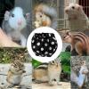 Squirrel Diapers - Soft, Adjustable, and Reusable view 4