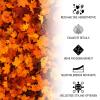 Autumn Self-Adhesive Nail Sticker Set, Maple Leaf Design, Red-Orange, 2 x 2 Sheets view 4