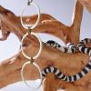 Corn Snake Accessory 11.4 x 41.9 cm view 4
