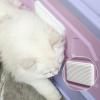 BCJMKDX Pet Drying Cabinet and Cat Litter Box, Fully Enclosed, Front Entrance and Top Exit, Large, Green view 4
