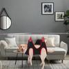 DECHOUS Dog Grooming Hammock for Cats and Dogs, 1 Set, Red view 4