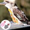 DECHOUS Reusable Parrot Diapers - 2 Pack view 4