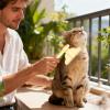 Cat Comb | Rotating Brush with Fine Teeth view 2