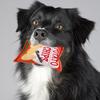 Compact Interactive Dog Chew Toys with Cleaning Effect, 2-Piece Set view 2