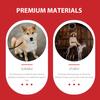 Compact Interactive Dog Chew Toys with Cleaning Effect, 2-Piece Set view 4