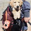 GARVALON Portable Dog Waste Bag Holder with Zipper view 2