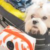 GARVALON Portable Dog Waste Bag Holder with Zipper view 3