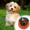 Portable Cat Slicker Brush for Grooming and Massage view 3
