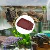 Reptile Water Dish with Non-Slip Imitation Stone Steps view 4