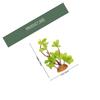 ifundom Artificial Reptile Plant, Terrarium Decoration for Turtle and Fish Tanks view 2