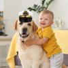 Adjustable Sailor Hat for Dogs view 4