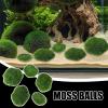 Green Moss Balls Decoration view 2