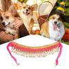 Croovepi Dog Halloween Costume view 4
